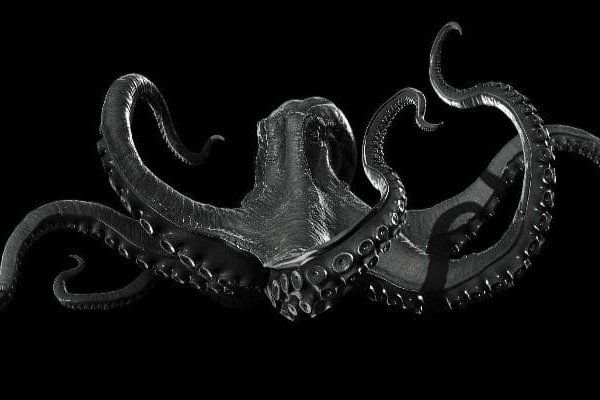 Kraken cc зеркало kr2web in