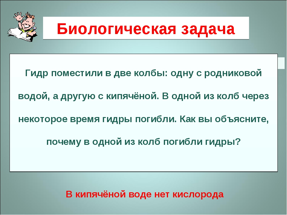 Кракен шоп интернет нарко